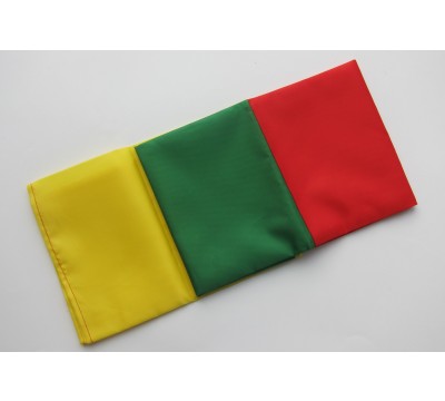 Lietuvos Respublikos vėliava 145 cm